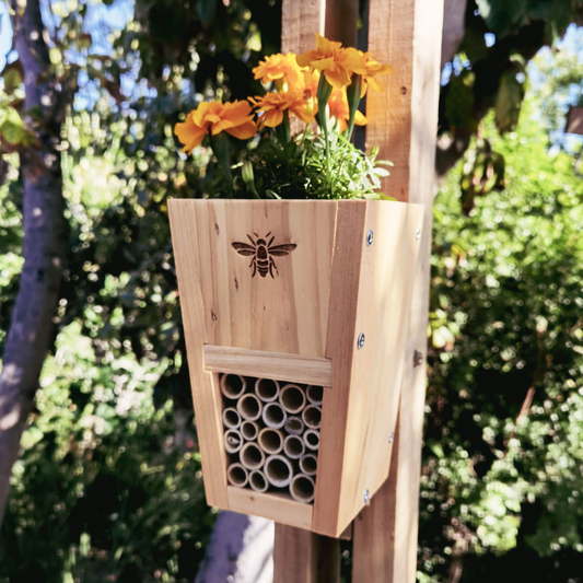 Gogga (Insect) Hotel Kit